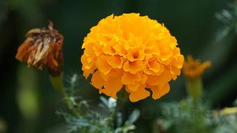 白城十大最好玩的景点2025年排行榜前十名榜单出炉