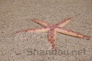 佛山十大家居建材市场2025年排行榜前十名榜单出炉