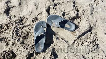 世界上最大的蛇,亚马逊森蚺可长到10米长