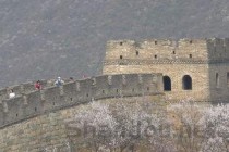 世界上最奇葩的10大电梯，中国白龙电梯上榜（著名的电梯）