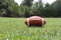 世界上最大的爆炸头，直径90厘米像个黑球