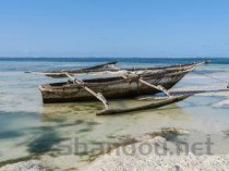 世界上最小的鲸鱼：体长最大1.6米，长江江豚濒临灭绝