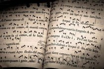 十首世界上最好听的歌曲排名，十首最好听的经典老歌(附2024年最新排行榜前十名单)