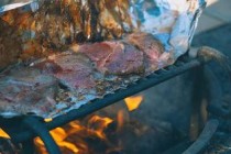 世界上最罕见最珍稀的蛇 蓝血蛇售价高达350万