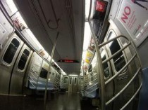 世界上色彩最艳丽的观赏鱼：白面刺尾鱼