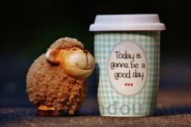 世界上最难喝的饮料排行榜2024最新排名前十名对比