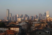 世界上最高的大葱 济南现2.51米高葱王(2024年最新排名前十榜单)