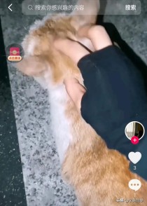 抖音网红大排名广东抖音粉丝排行榜