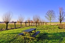 世界上十个适合坐着欣赏的景观   放松身心的浪漫之地(2024年最新排名前十榜单)