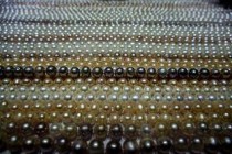 世界上最珍贵的珊瑚：台湾红珊瑚 乃无价之宝！(附2024排名前十完整榜单)