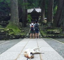 世界上最懒的地方世界上最懒的十个国家