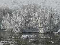 世界上最浅的河，耗来河水深仅20厘米