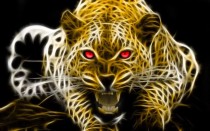 播放世界上最霸气的照片（世界上最霸气的动物图片）