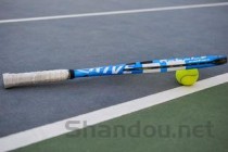 世界排名第一球拍品牌（世界上最好的球拍是什么球拍）