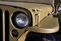 猫咪呼吸急促瘫软无力的缘由何在？怎么弄会好？