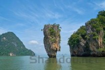 十大姓杨的历史名人2025年排行榜前十名榜单出炉