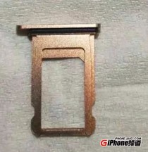 世界上最恐怖的卡槽（世界上最恐怖的叫）