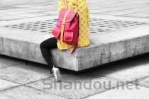 女款背包品牌大全，_女士背包品牌十大排名推荐