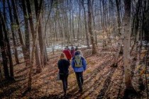 世界上最大的树是什么树?它叫雪曼将军树（世界上最稀有的树是什么树）