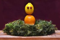 世界上最神奇的细菌——食电细菌