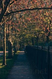 世界上最北边的植物园（世界上最北边的植物园是什么）