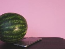 世界上最小的西瓜图片 一个勺子能装好几个