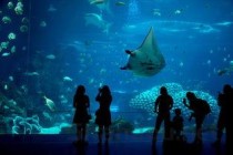 最痛苦的中国舞蹈，最痛的舞蹈动作