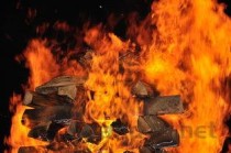 世界上最矮的消防员，只有1.27米