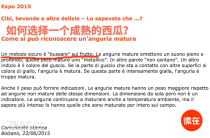 世界上最真实的人才（世界上真正的人是谁）