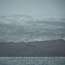 狗狗尿出像豆沙一样的血渍的缘由何在？该怎么做才对？