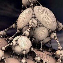 世界上最像外星人的生物：身体呈蓝色，体长不超8厘米