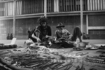 世界上最大的人排行榜盘点那些年轻最大的老人！