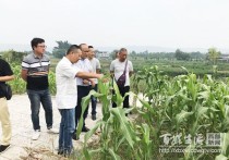 中国最漂亮的农村酒中国最老的酒品牌