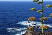 盘点世界上十大火山，最大面积竟然达9千平方公里