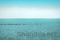 世界上水温最高的大海，红海温度可达32度（我国海水温度）