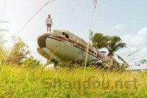 世界上生长最快的树，轻木10年能长16米(造飞机材料)