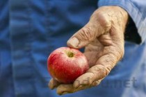 世界上肾最多的人，同时能拥有5个肾