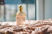 世界上毒性最强的蚂蚁：子弹蚁咬人让人痛不欲生(附2024排名前十完整榜单)