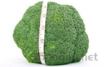 世界上最大的水果 菠萝蜜最重超过59公斤(附2024排名前十完整榜单)