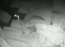 世界上最稀少的秘密（世界上最秘密的东西）