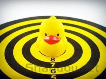 猫隔两天就会挑食舔塑料呕吐怎么弄会好？