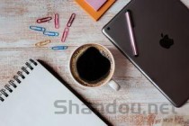 世界上最毒的种子：鸡母珠毒素0.3毫克就会致人死亡(附2024排名前十完整榜单)