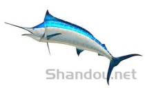 世界上最大的鹰，菲律宾鹰(重4公斤/翅展3米)