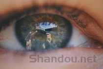 猫咪尾巴皮肤上有个小疙瘩是啥情况？该怎么解决？