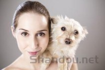 狗狗突然站不起来了乱尿是咋回事？要如何应对？