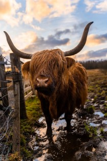 世界上最牛壁纸图片（世界上最牛b的人）