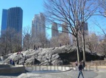 世界上最理想的居住城市：四季如春，温差仅0.6度