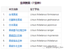 世界黑熊排名前十（黑山排名世界第几）