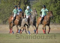 青岛十大律师事务所2025年排行榜前十名榜单出炉