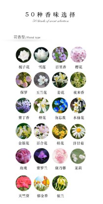 世界十大最香的植物排行榜 龙蒿叶与艾叶属同一物种最香植物